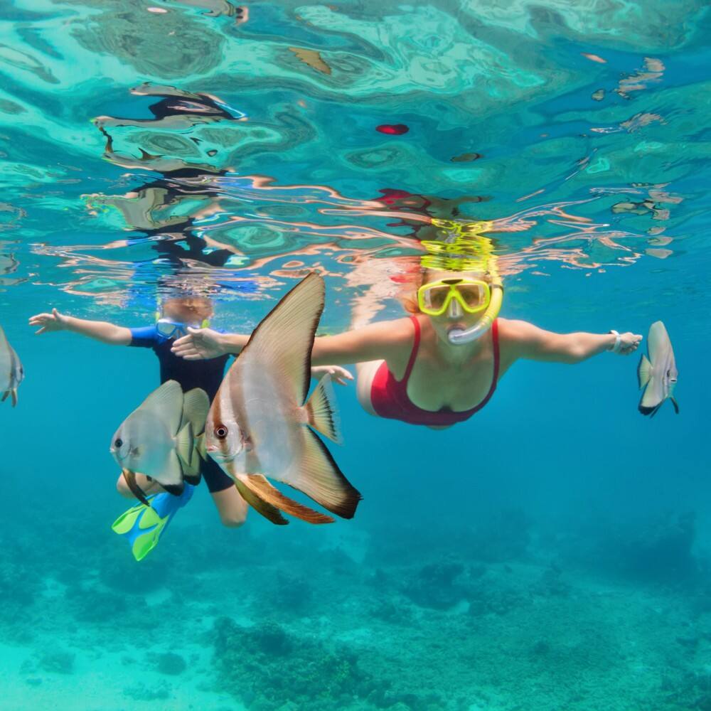 kid snorkelling underwater surrounded by fish phuket  