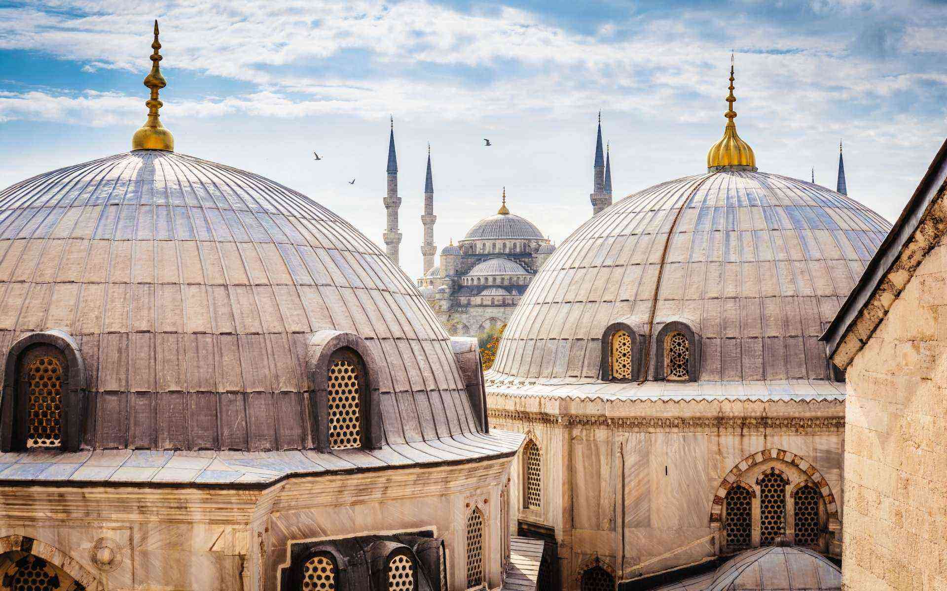 the domes of aya sofia in turkey