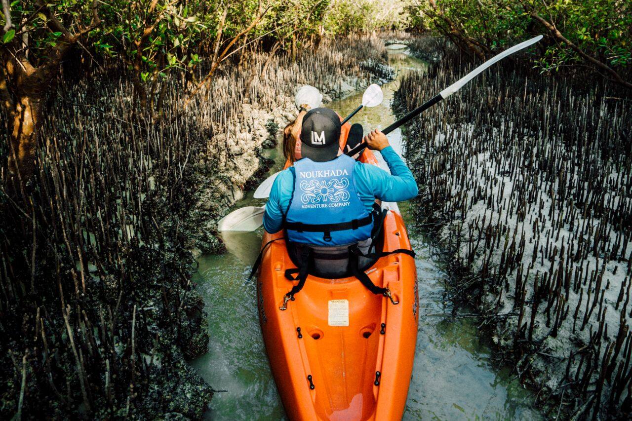 mangrove national park