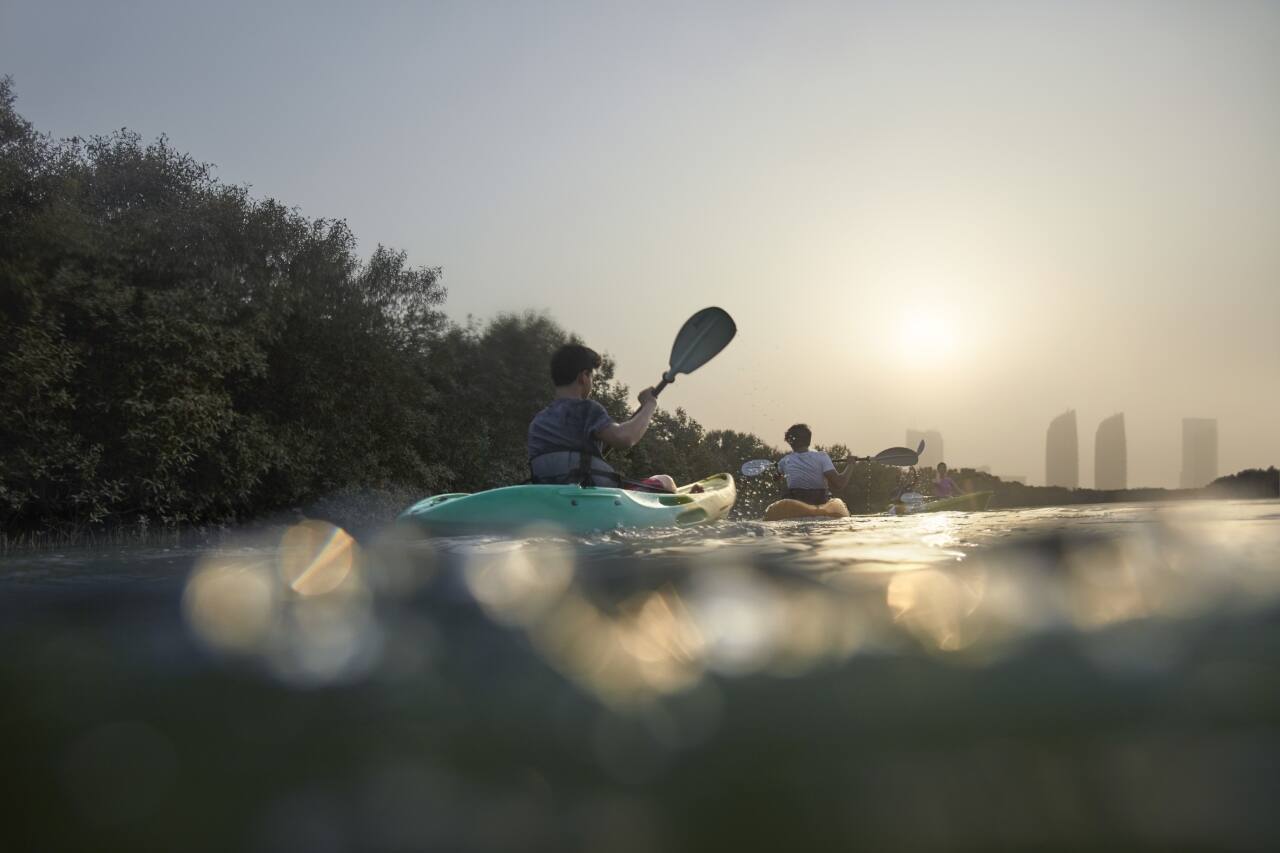 kayaking in the mangroves in abu dhabi