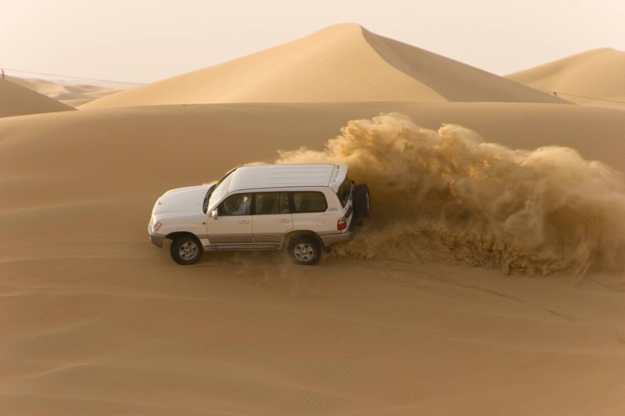 desert safari