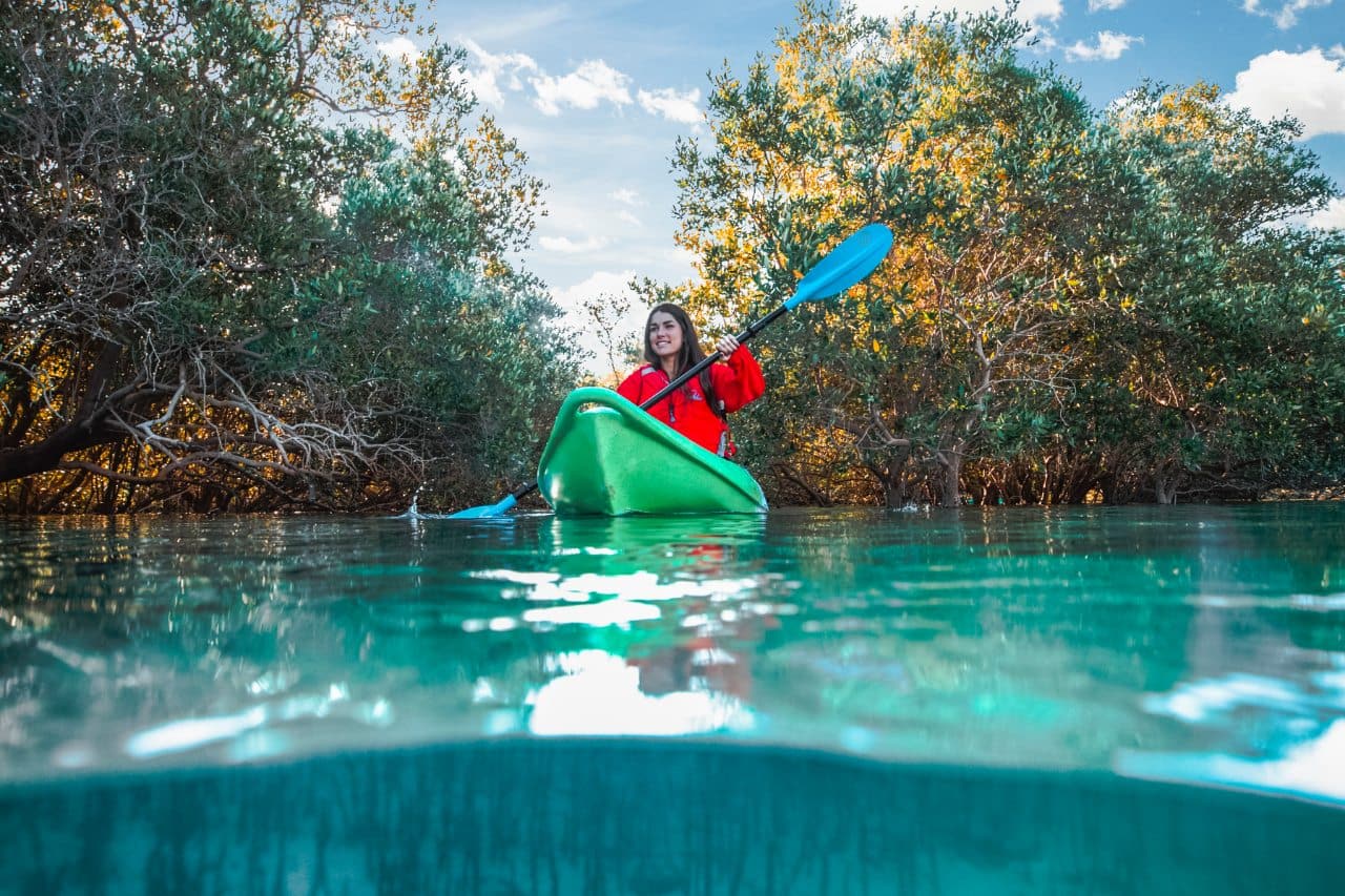kayaking at mangrove national park 