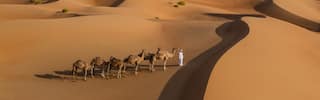 desert safari car driving