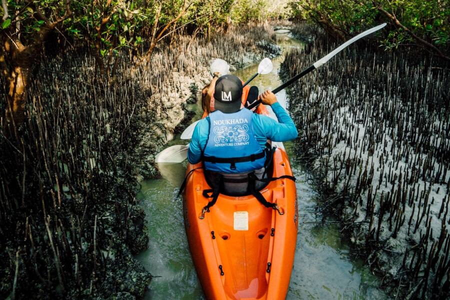 mangrove national park
