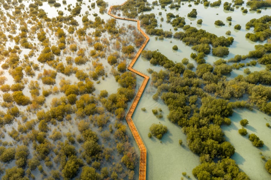 jubail-mangrove-park-etihad