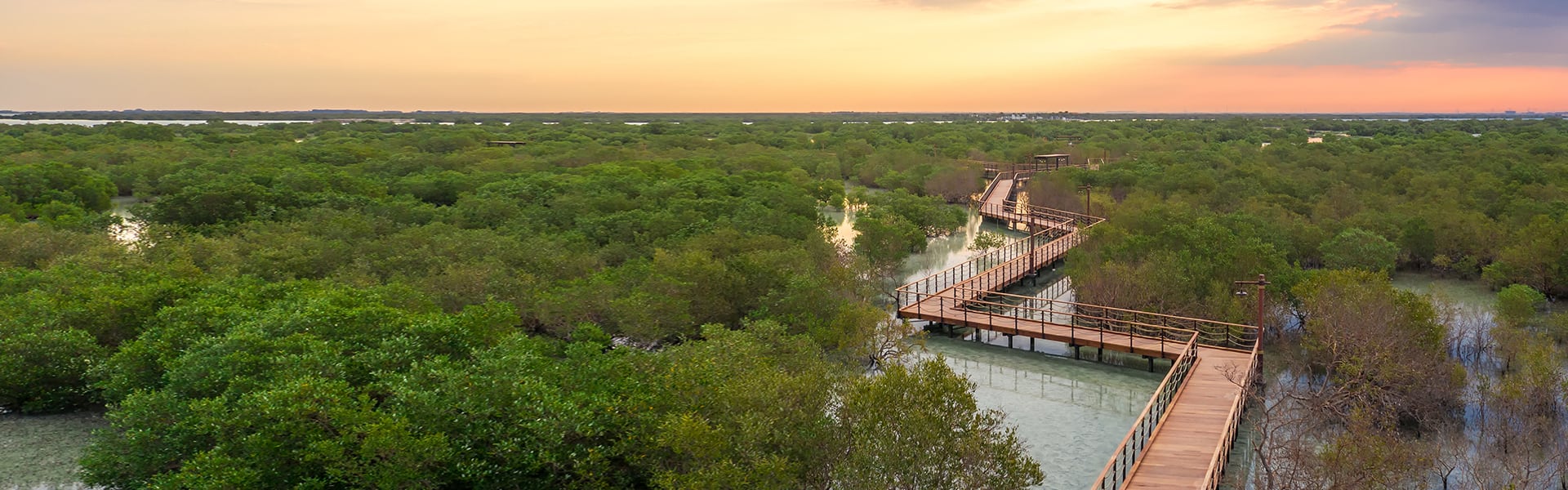jubail mangroves