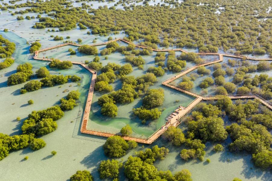 Jubail Mangrove Park Etihad