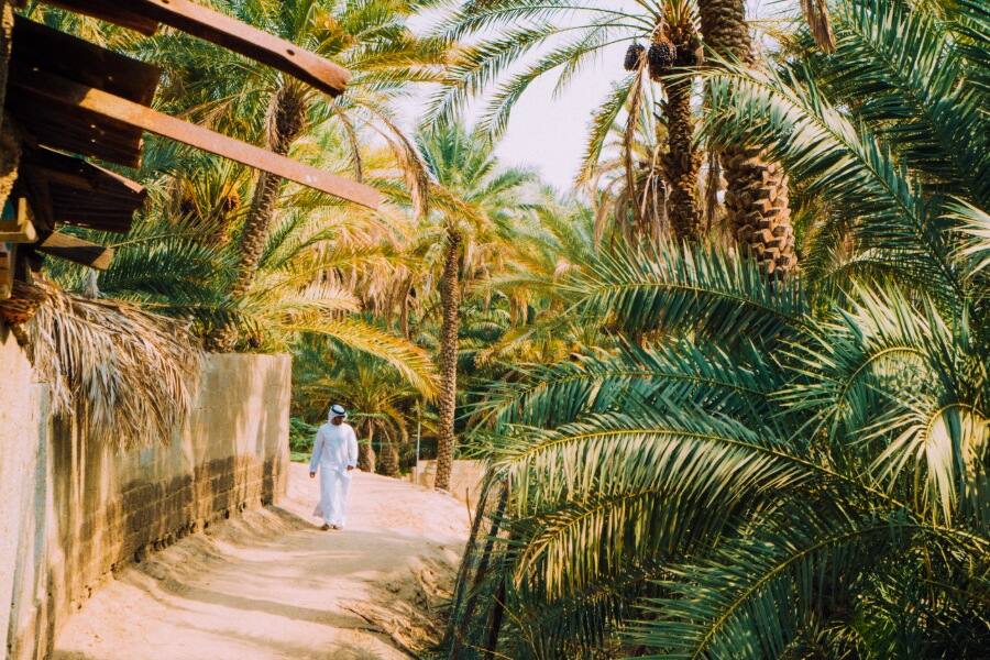 al ain oasis man walking surrounded by trees