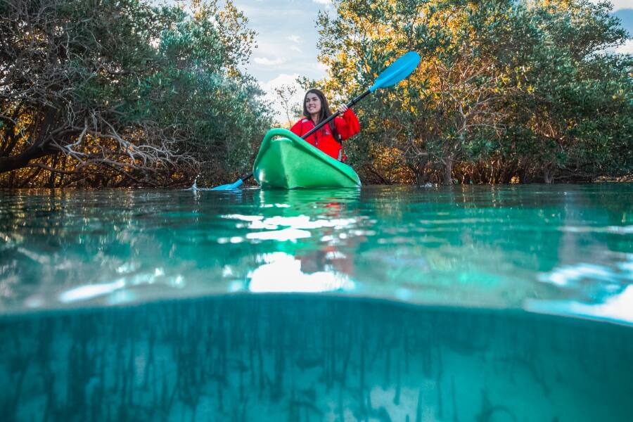 boat tour abu dhabi mangrove national park kayaking