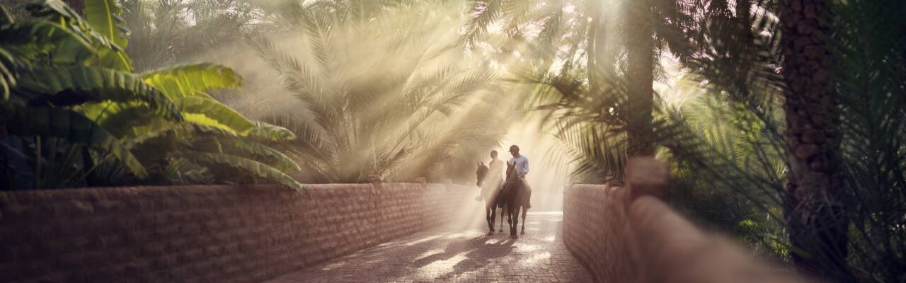 horse riding through trees