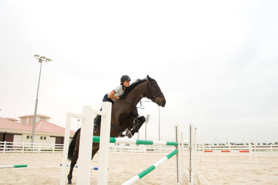 horse rider and horse jumping