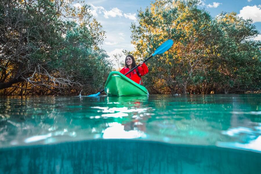 eastern mangroves kayaking