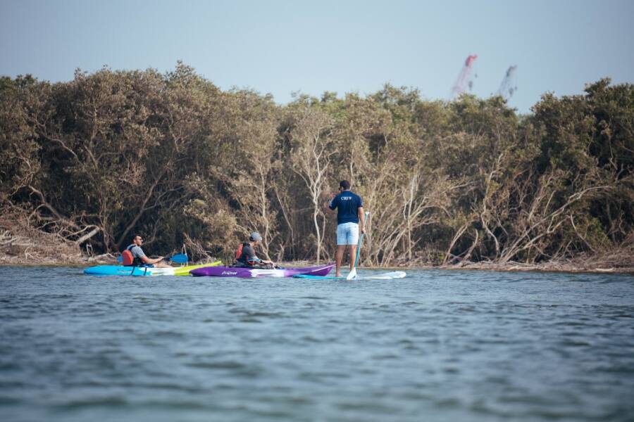 mangrove national park kayaking