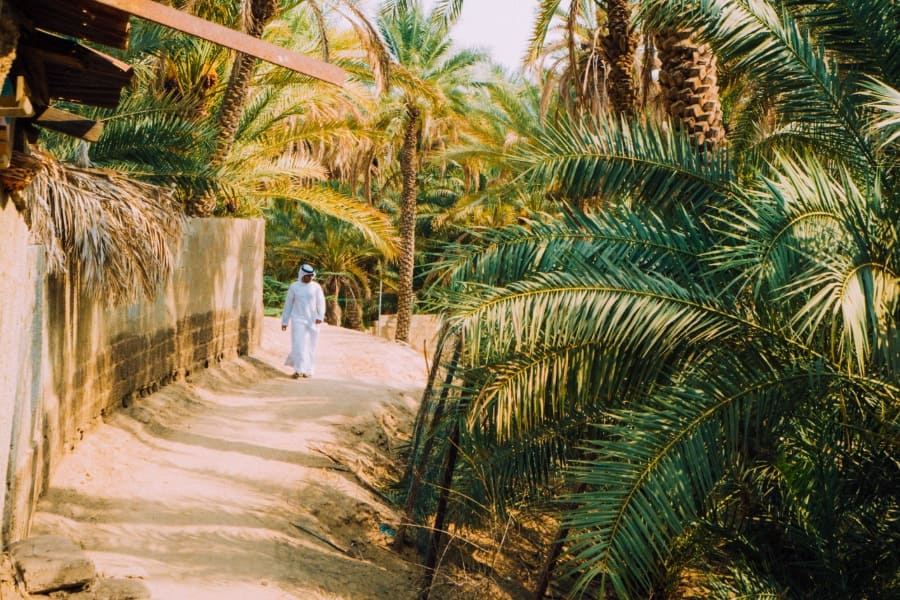 al ain oasis man walking surrounded by trees