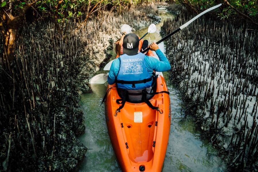 Mangrove National Park