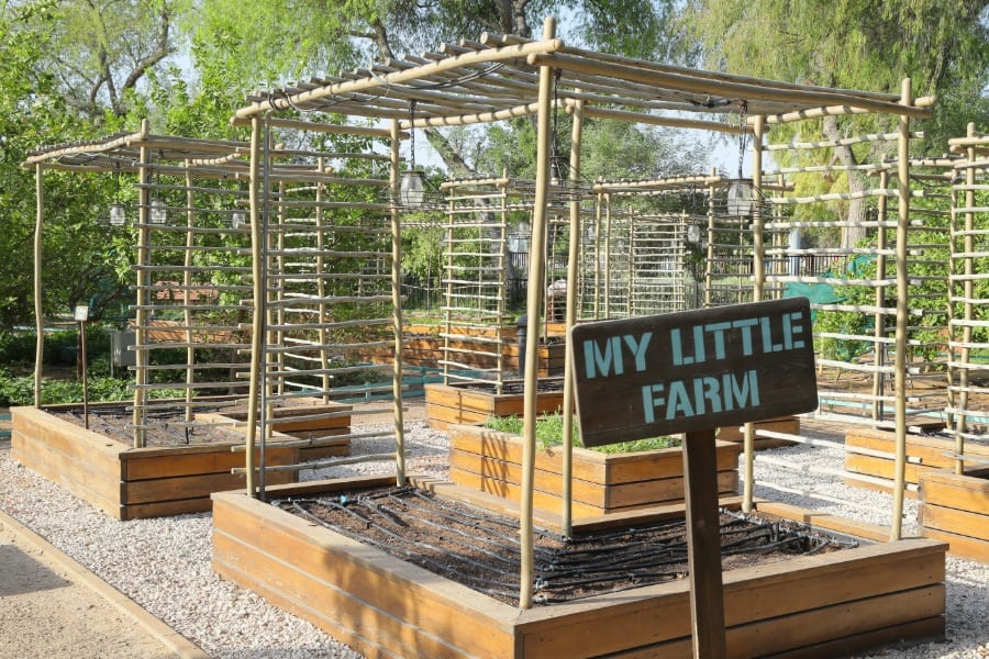 kids-activity-umm-al-emarat-park