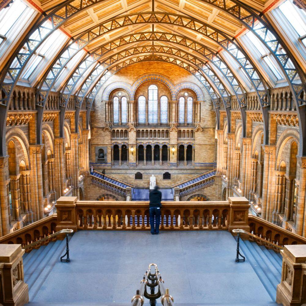 the natural history museum in london uk 