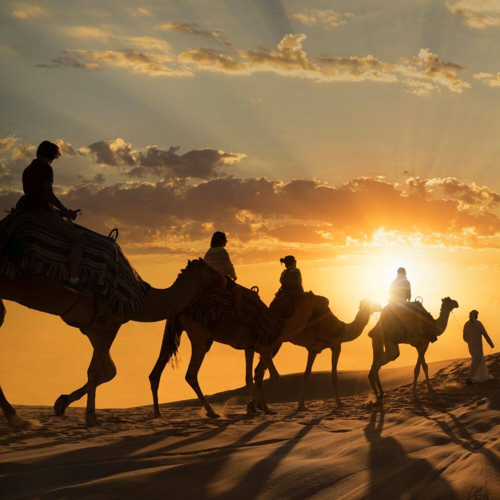 view of people riding camels at sunset on a hot desert in abu dhab