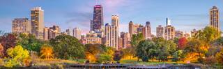 chicago waterfront skyline and trees