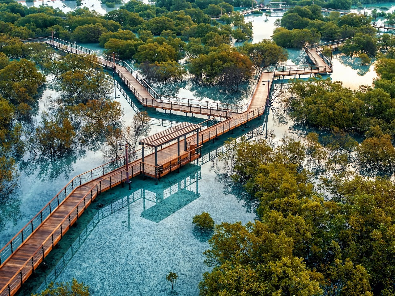 Etihad Airways commits to adopt a mangrove tree for every guest who books Economy Space